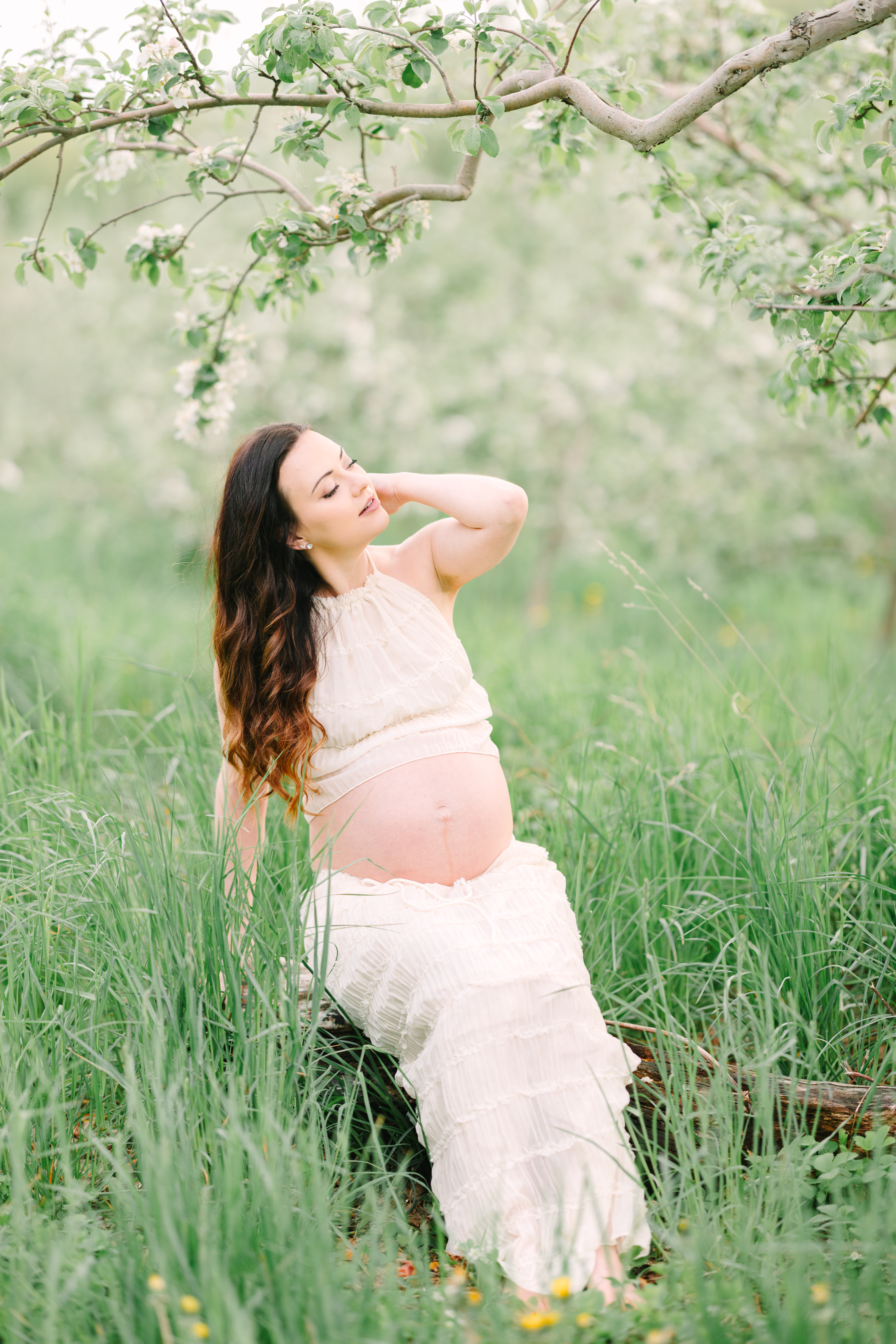 Maine maternity session in blooming apple orchard